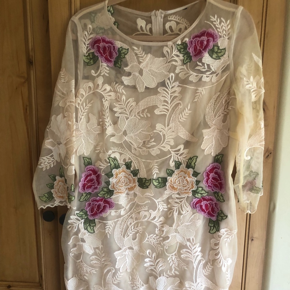 Sheer with included slip Champaign blush midi dress with rose appliqué